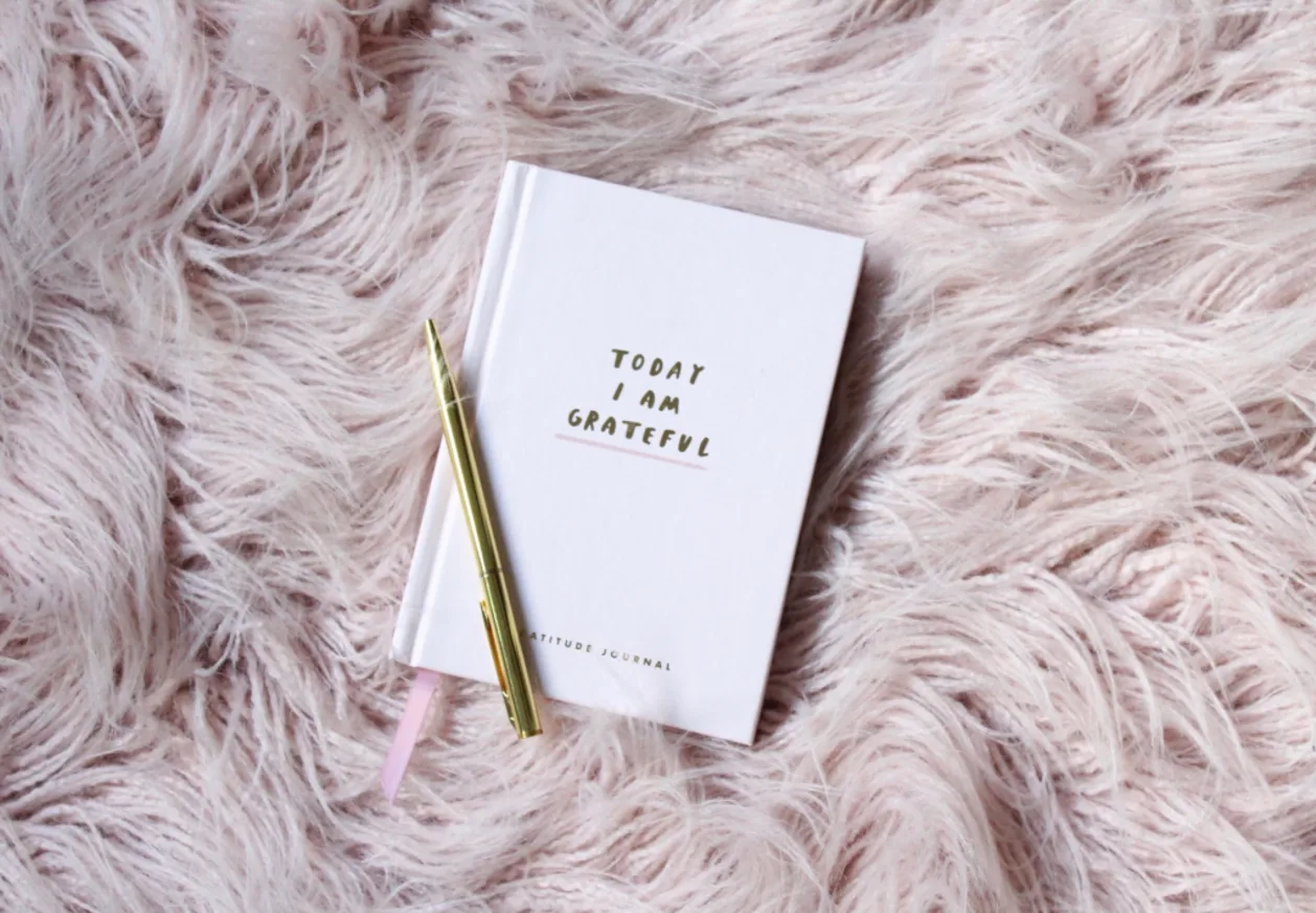 gratitude journal with gratitude tips inside